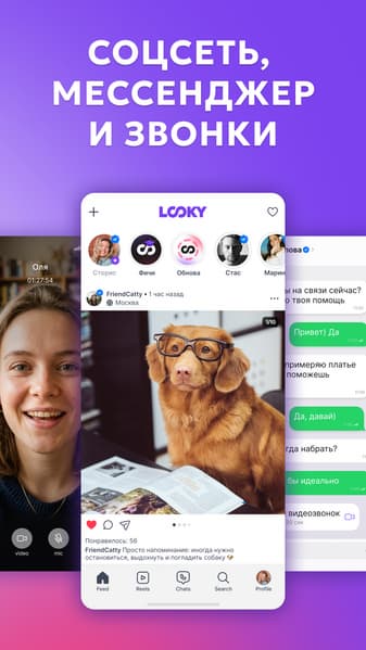 В Российском мессенджере Looky появились аудио- и видеозвонки, всё работает без VPN - 1